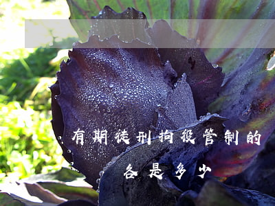 有期徒刑拘役管制的時間的最長、最短時間各是多少